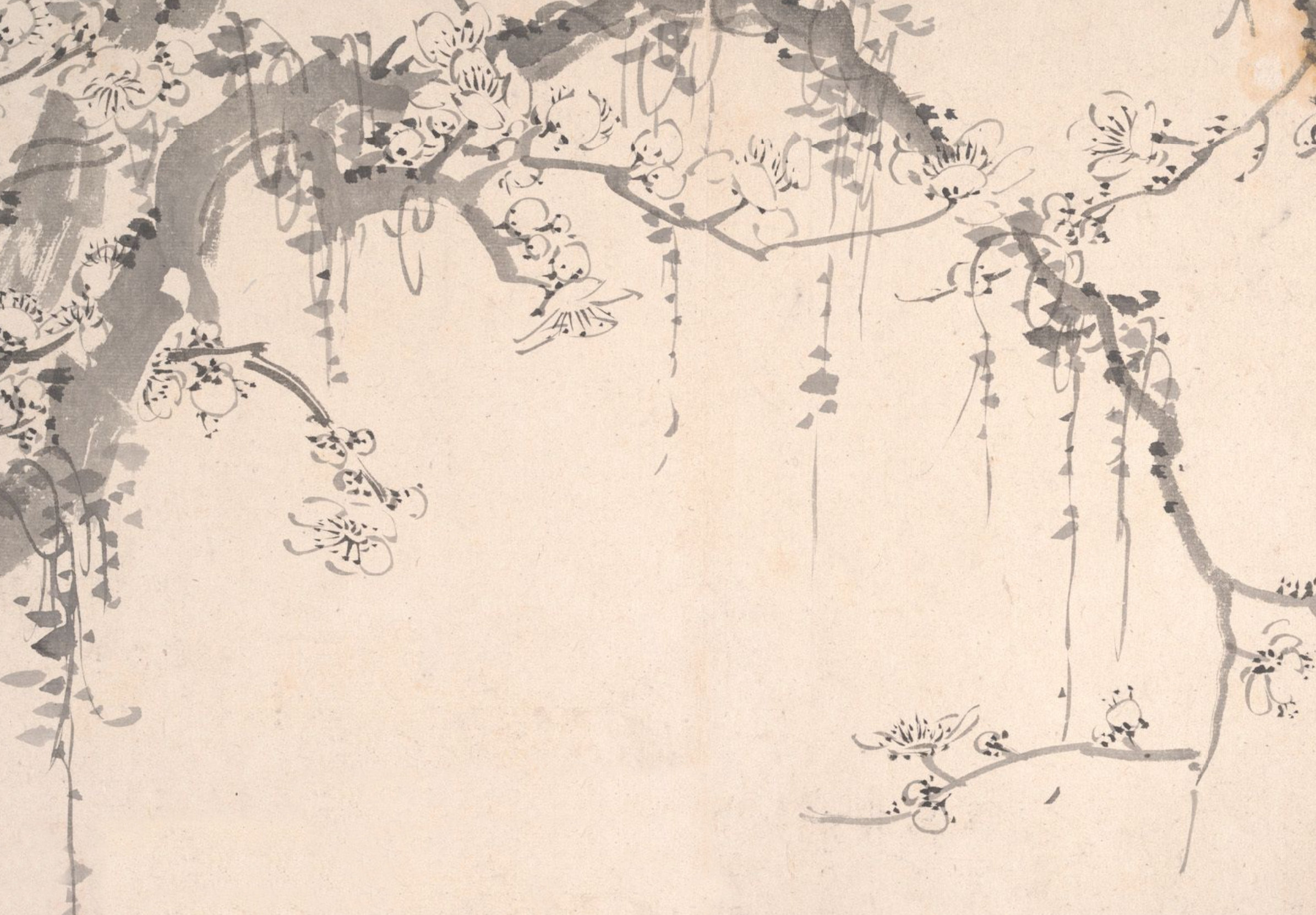 : An artistic representation of a tree featuring blooming flowers and cascading vines.